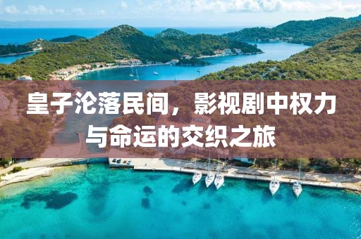 皇子沦落民间，影视剧中权力与命运的交织之旅