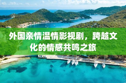 外国亲情温情影视剧，跨越文化的情感共鸣之旅