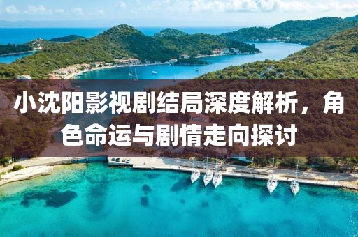 小沈阳影视剧结局深度解析，角色命运与剧情走向探讨