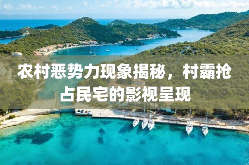 农村恶势力现象揭秘，村霸抢占民宅的影视呈现