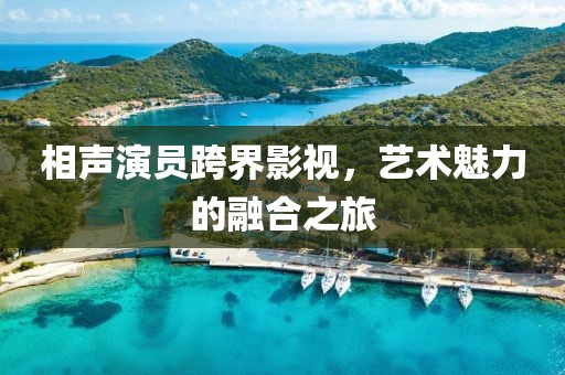 相声演员跨界影视，艺术魅力的融合之旅