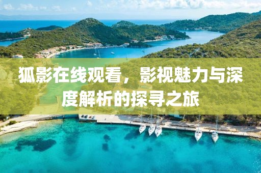 狐影在线观看，影视魅力与深度解析的探寻之旅