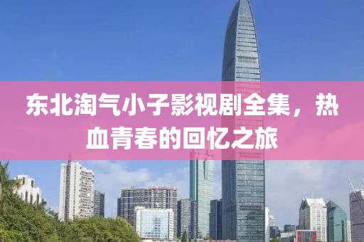 东北淘气小子影视剧全集，热血青春的回忆之旅