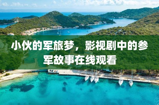 小伙的军旅梦，影视剧中的参军故事在线观看