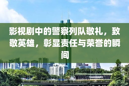 影视剧中的警察列队敬礼，致敬英雄，彰显责任与荣誉的瞬间