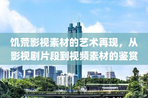 饥荒影视素材的艺术再现，从影视剧片段到视频素材的鉴赏