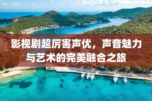 影视剧超厉害声优，声音魅力与艺术的完美融合之旅