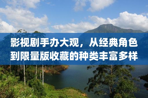 影视剧手办大观，从经典角色到限量版收藏的种类丰富多样