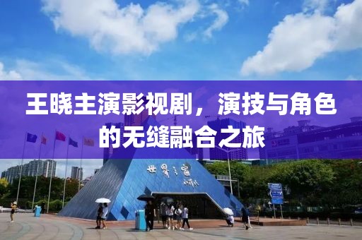 王晓主演影视剧，演技与角色的无缝融合之旅