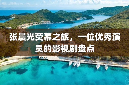 张晨光荧幕之旅，一位优秀演员的影视剧盘点