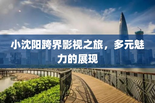 小沈阳跨界影视之旅，多元魅力的展现