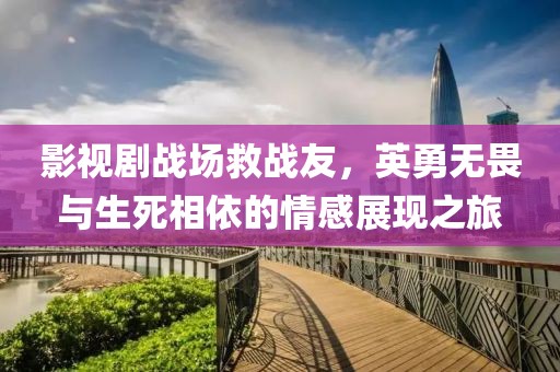 影视剧战场救战友，英勇无畏与生死相依的情感展现之旅