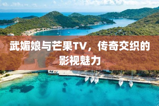 武媚娘与芒果TV，传奇交织的影视魅力