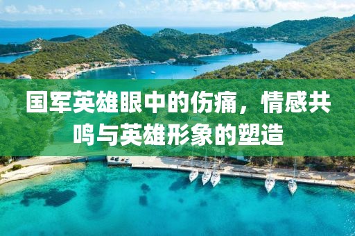 国军英雄眼中的伤痛，情感共鸣与英雄形象的塑造